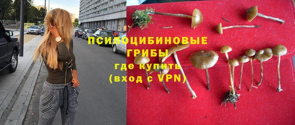 герыч Алзамай