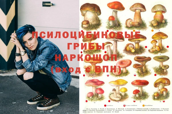 винт Аркадак
